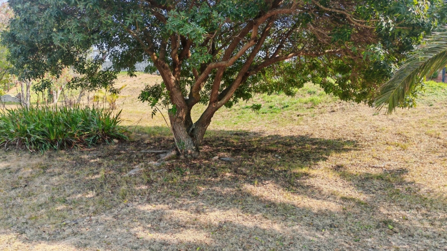 Commercial Property for Sale in Groot Brakrivier Central Western Cape